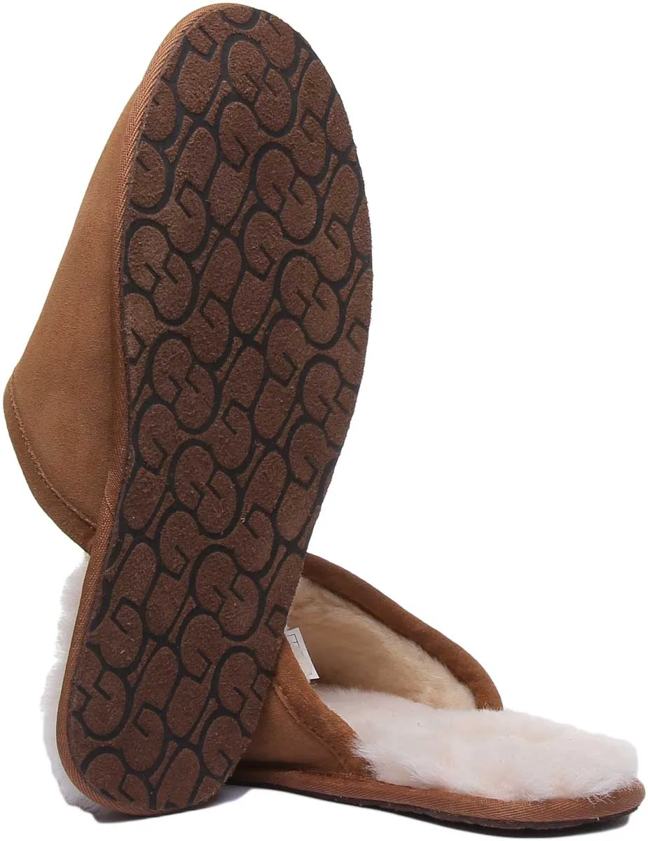 Ugg Australia M Scuff In Chestnut