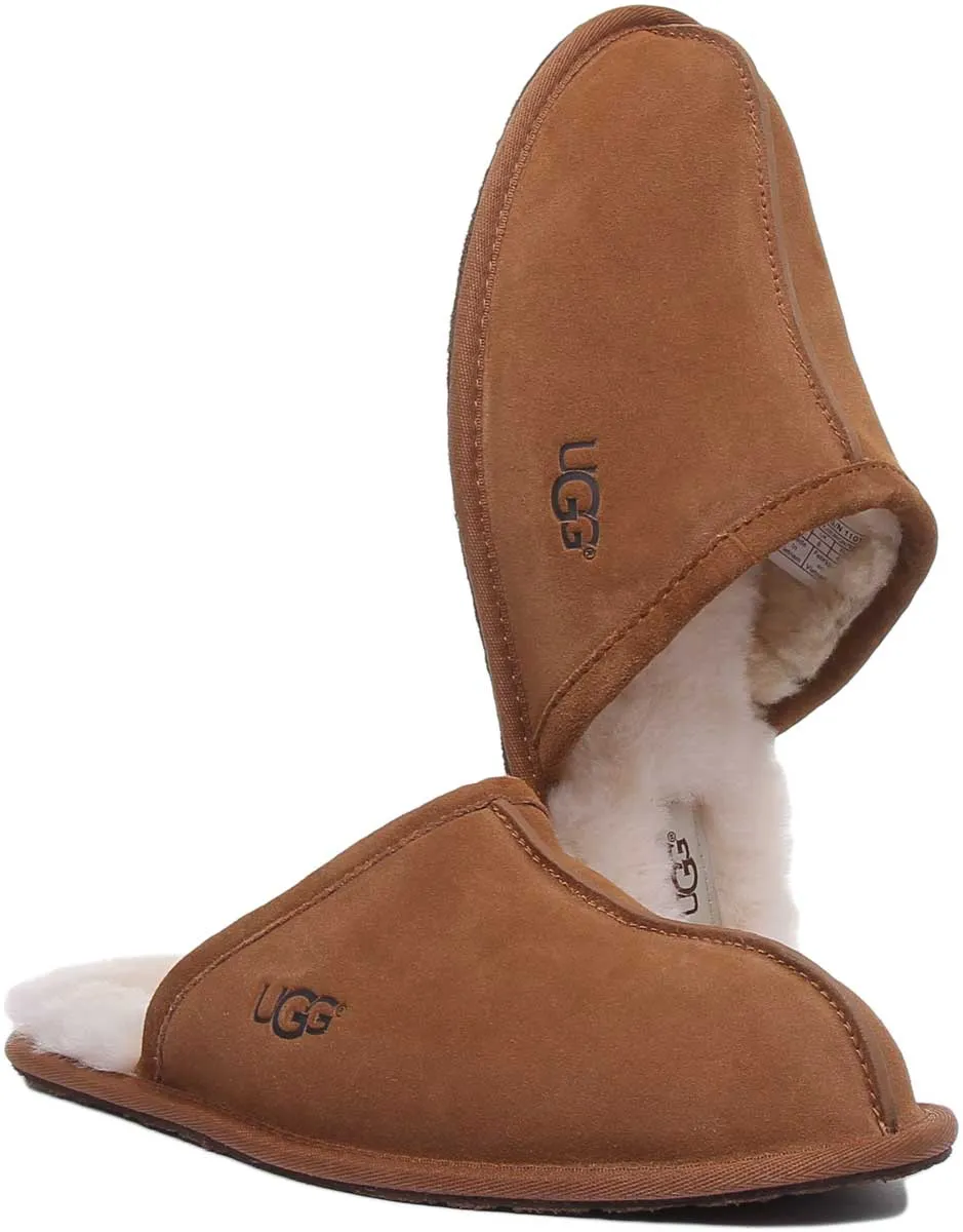 Ugg Australia M Scuff In Chestnut