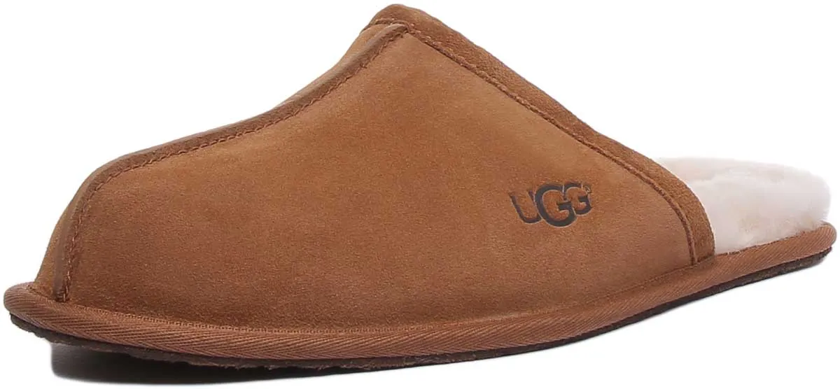 Ugg Australia M Scuff In Chestnut